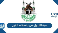 نسبة القبول في جامعة أم القرى 1447 نسبة القبول في جامعة أم القرى 1447