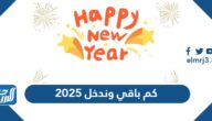 كم باقي وندخل 2025 العد التنازلي