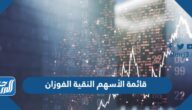 قائمة الأسهم النقية 2025 الفوزان