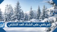 كم باقي على الشتاء 1446 العد التنازلي