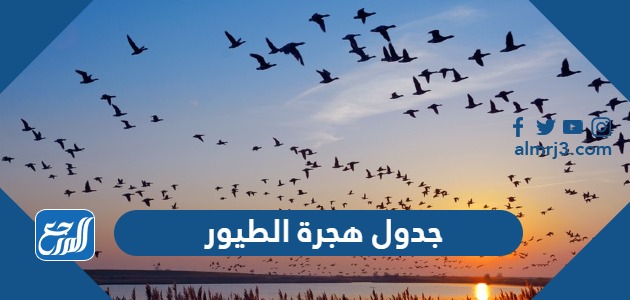 جدول هجرة الطيور