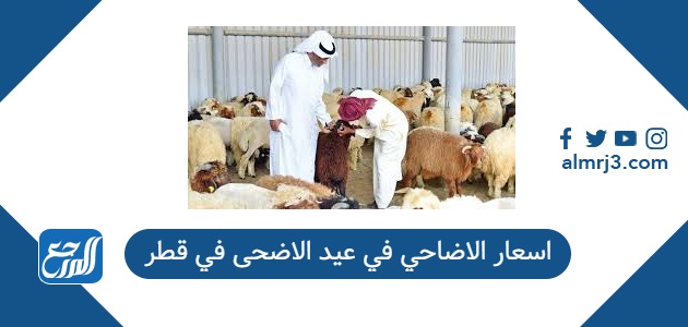 اسعار الاضاحي في عيد الاضحى في قطر 2026 واماكن بيعها