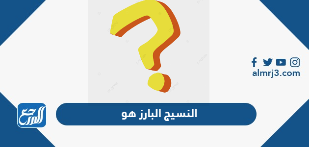 النسيج البارز هو