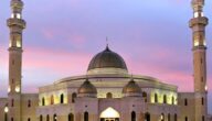 كيف تجعل الذكر عادة يومية تعزز السكينة والطمأنينة كيف تجعل الذكر عادة يومية تعزز السكينة والطمأنينة