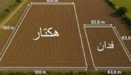 الفدان كم متر مربع وطريقة تحويل وحدات المساحة الفدان كم متر مربع وطريقة تحويل وحدات المساحة