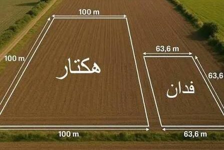 الفدان كم متر مربع وطريقة تحويل وحدات المساحة